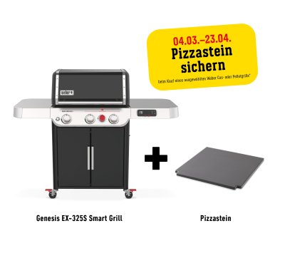 Weber Gasgrill Genesis EX-325S